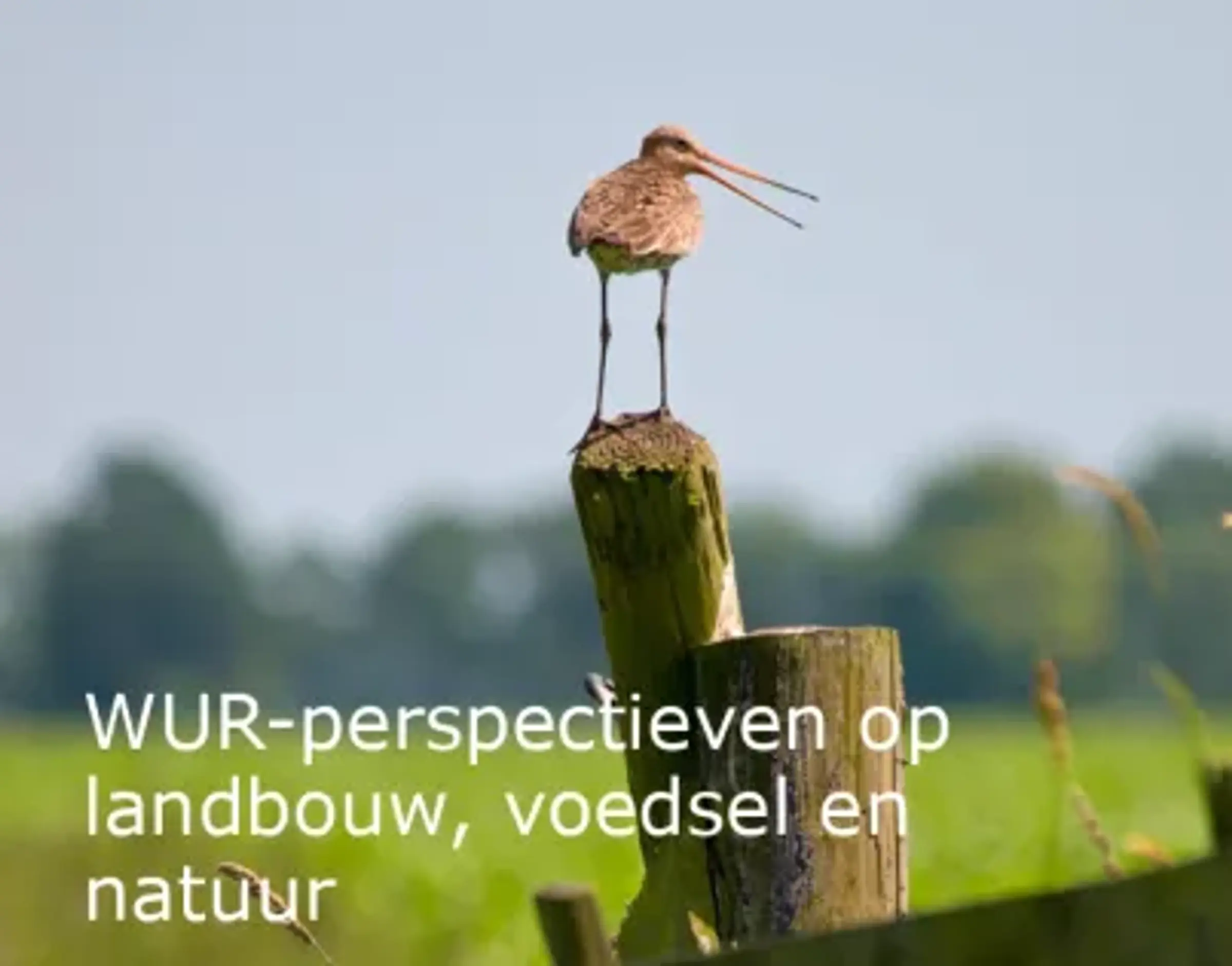 omslag rapport: WUR-perspectieven op landbopuw, voedsel en natuur