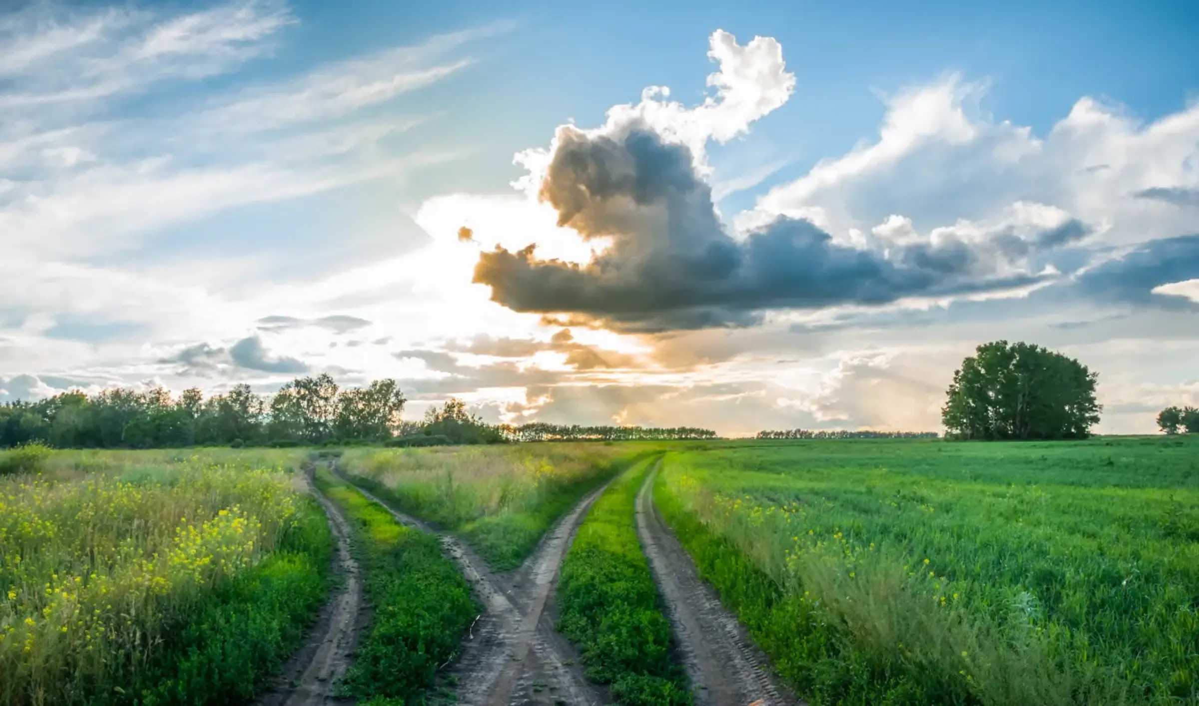 Splitsende wegen in het landschap onder een dramatische lucht